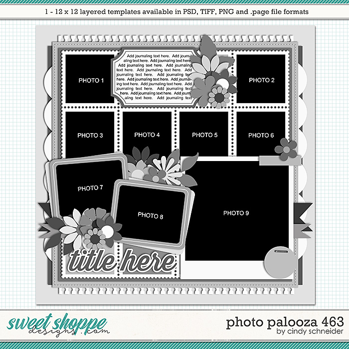 Cindy's Layered Templates - Photo Palooza 463 by Cindy Schneider