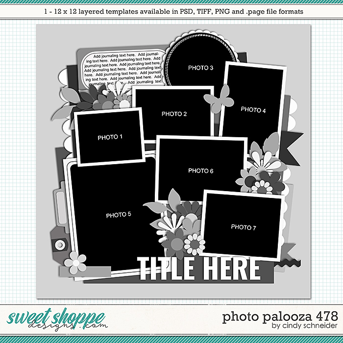 Cindy's Layered Templates - Photo Palooza 478 by Cindy Schneider
