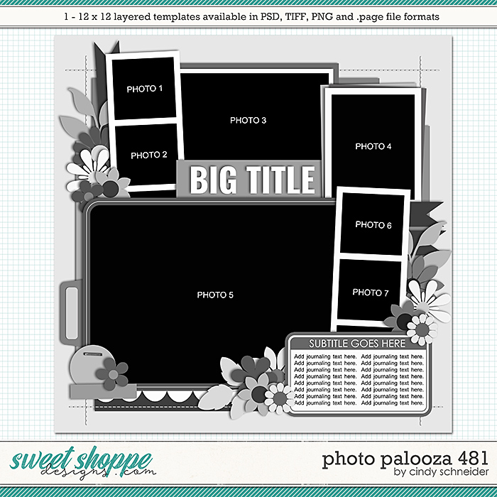 Cindy's Layered Templates - Photo Palooza 481 by Cindy Schneider