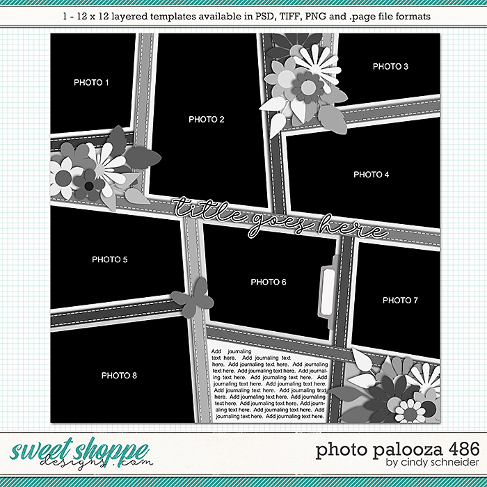 Cindy's Layered Templates - Photo Palooza 486 by Cindy Schneider