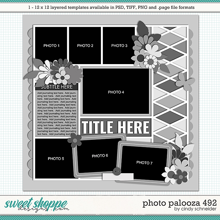 Cindy's Layered Templates - Photo Palooza 492 by Cindy Schneider