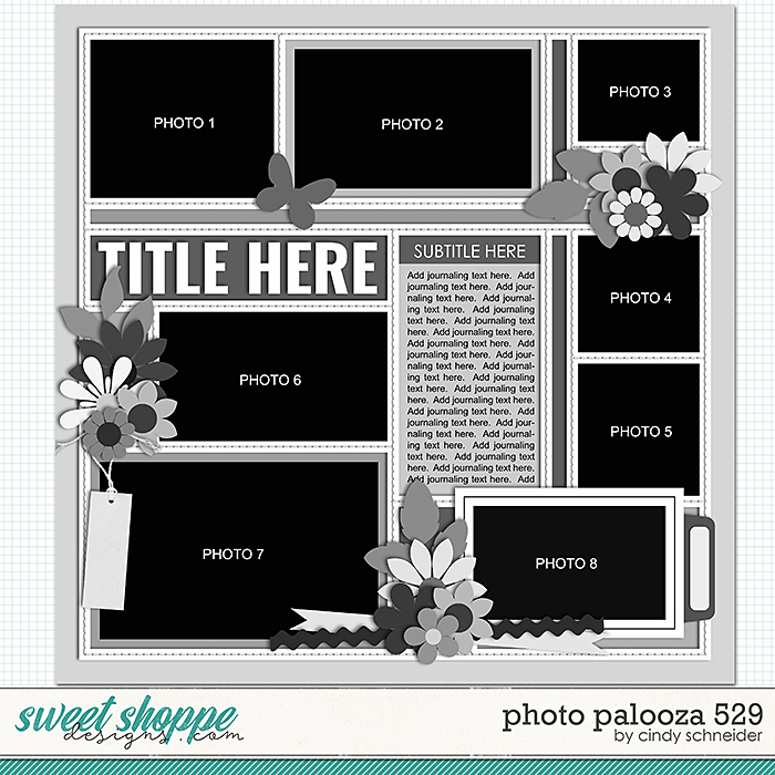 Cindy's Layered Templates - Photo Palooza 529 by Cindy Schneider