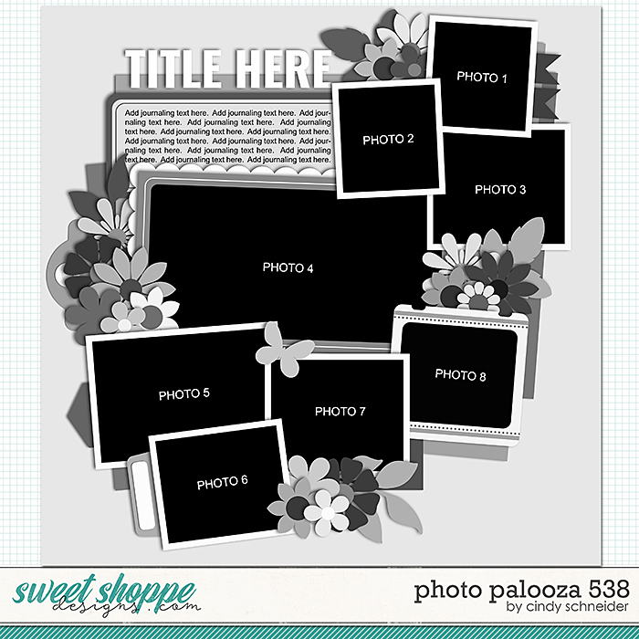 Cindy's Layered Templates - Photo Palooza 538 by Cindy Schneider
