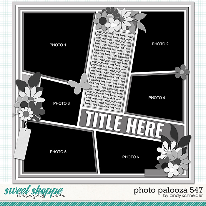 Cindy's Layered Templates - Photo Palooza 547 by Cindy Schneider
