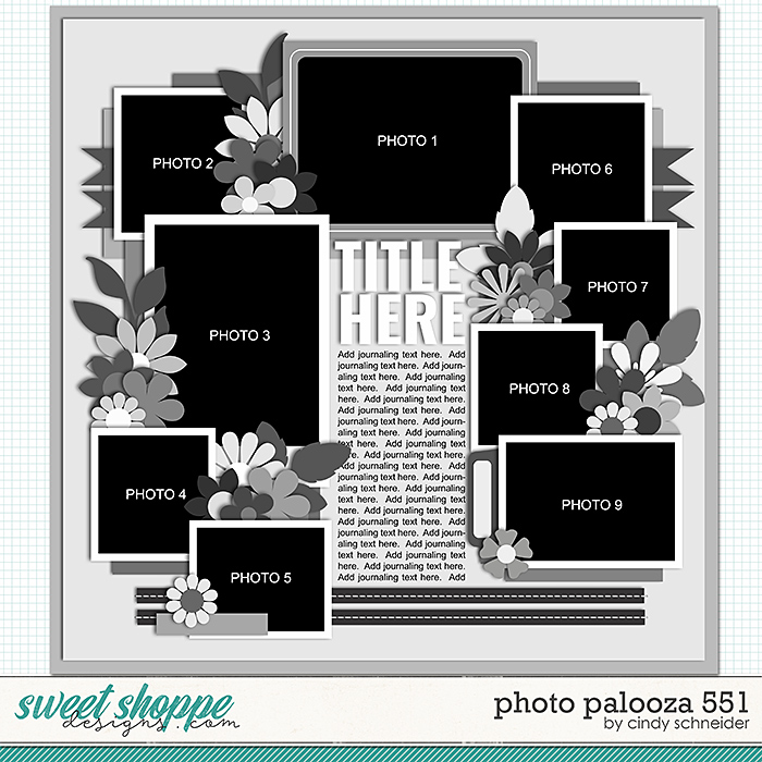 Cindy's Layered Templates - Photo Palooza 551 by Cindy Schneider