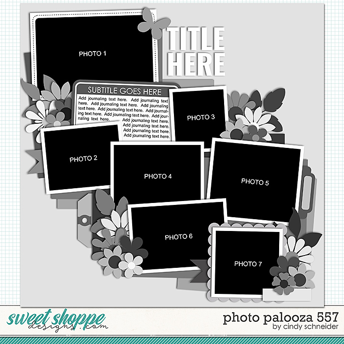 Cindy's Layered Templates - Photo Palooza 557 by Cindy Schneider