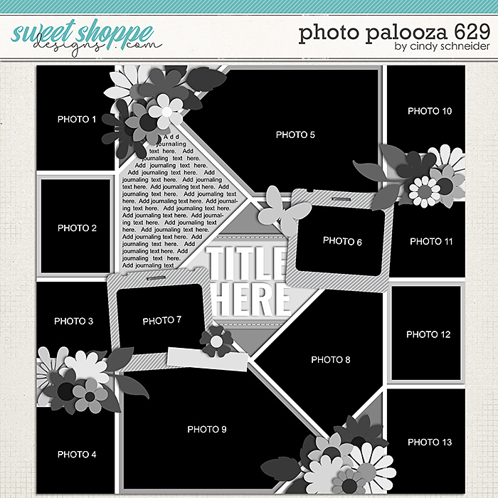 Cindy's Layered Templates - Photo Palooza 629 by Cindy Schneider