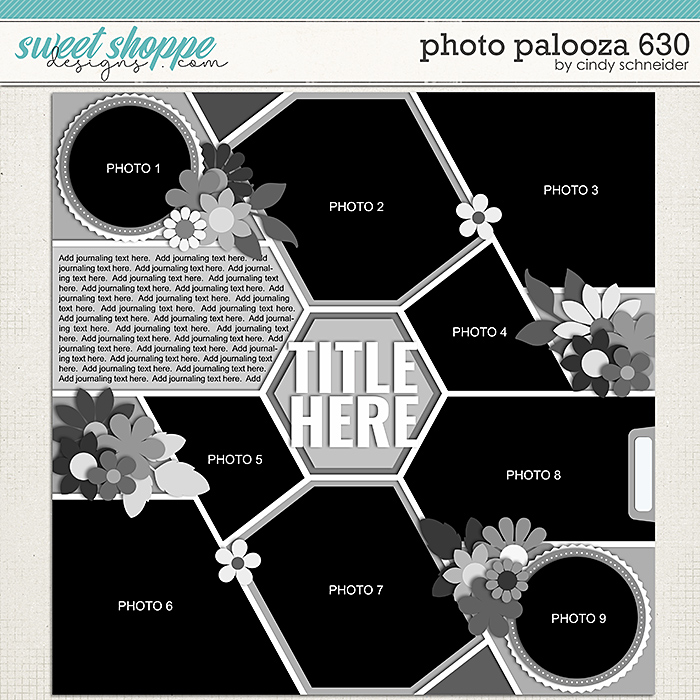 Cindy's Layered Templates - Photo Palooza 630 by Cindy Schneider