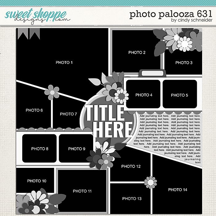 Cindy's Layered Templates - Photo Palooza 631 by Cindy Schneider