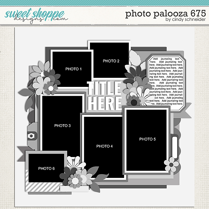 Cindy's Layered Templates - Photo Palooza 675 by Cindy Schneider