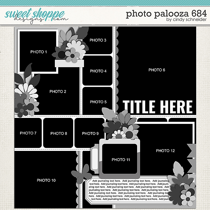 Cindy's Layered Templates - Photo Palooza 684 by Cindy Schneider