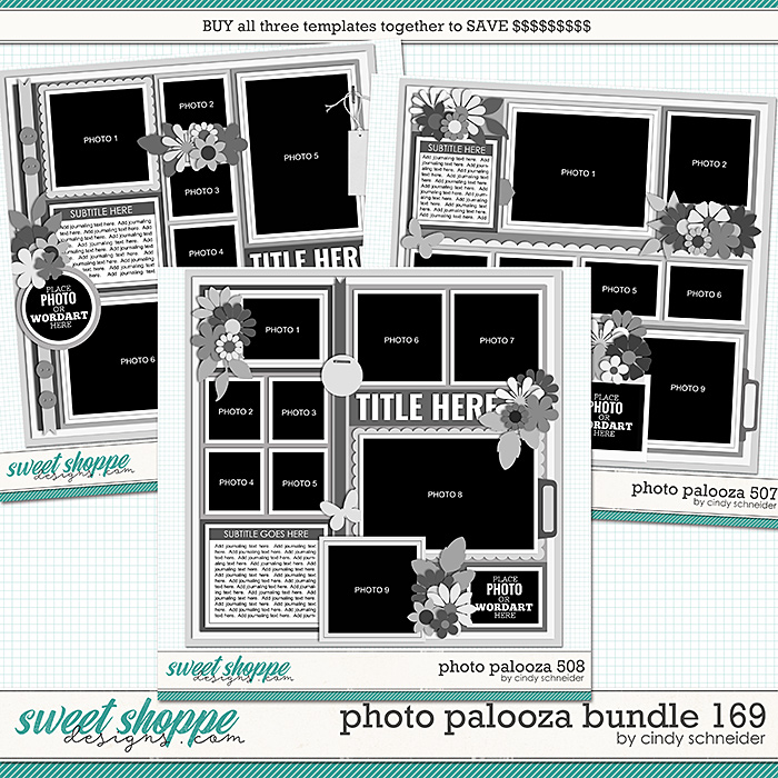 Cindy's Layered Templates - Photo Palooza Bundle 169 by Cindy Schneider
