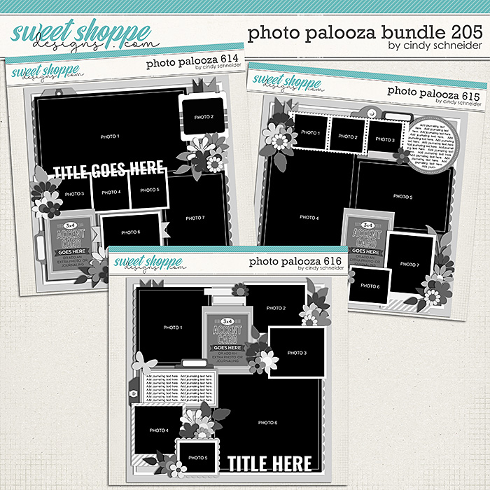Cindy's Layered Templates - Photo Palooza Bundle 205 by Cindy Schneider