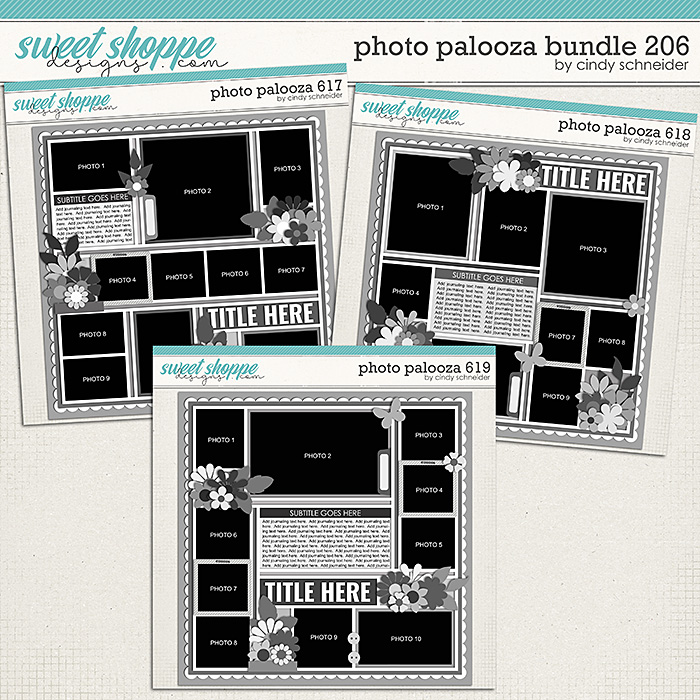Cindy's Layered Templates - Photo Palooza Bundle 206 by Cindy Schneider