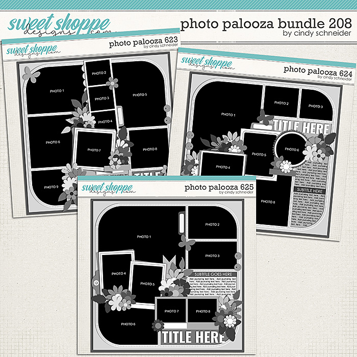 Cindy's Layered Templates - Photo Palooza Bundle 208 by Cindy Schneider