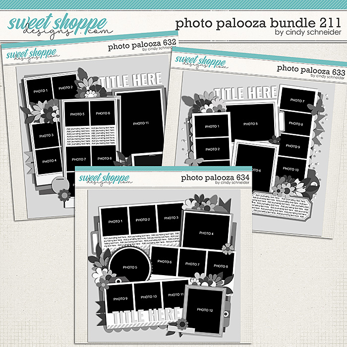 Cindy's Layered Templates - Photo Palooza Bundle 211 by Cindy Schneider