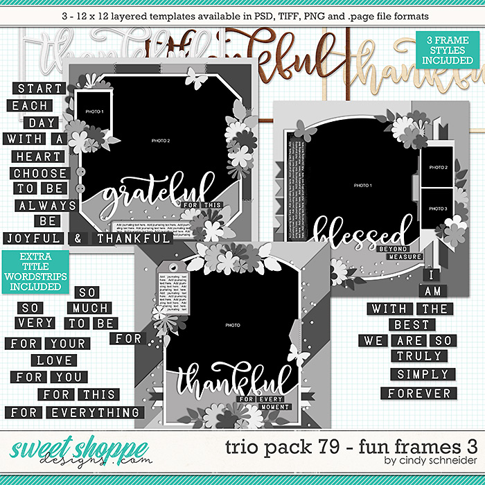 Cindy's Layered Templates - Trio Pack 79: Fun Frames by Cindy Schneider