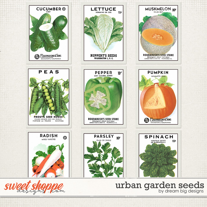 Urban Garden Seeds by Dream Big Designs Urban Garden Seeds by Dream Big Designs