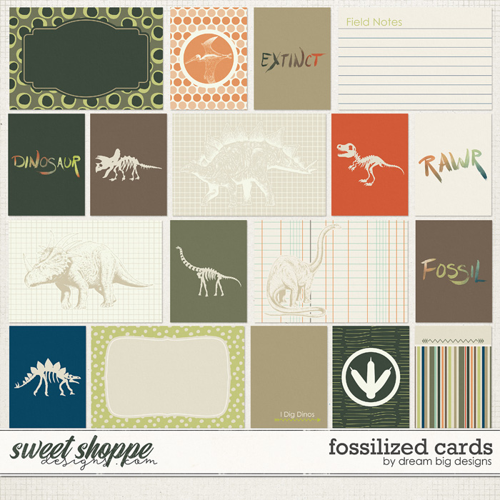 Fossilized Cards by Dream Big Designs Fossilized Cards by Dream Big Designs