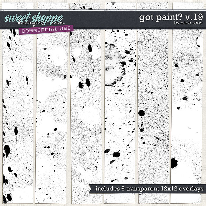 Got Paint? v.19 by Erica Zane