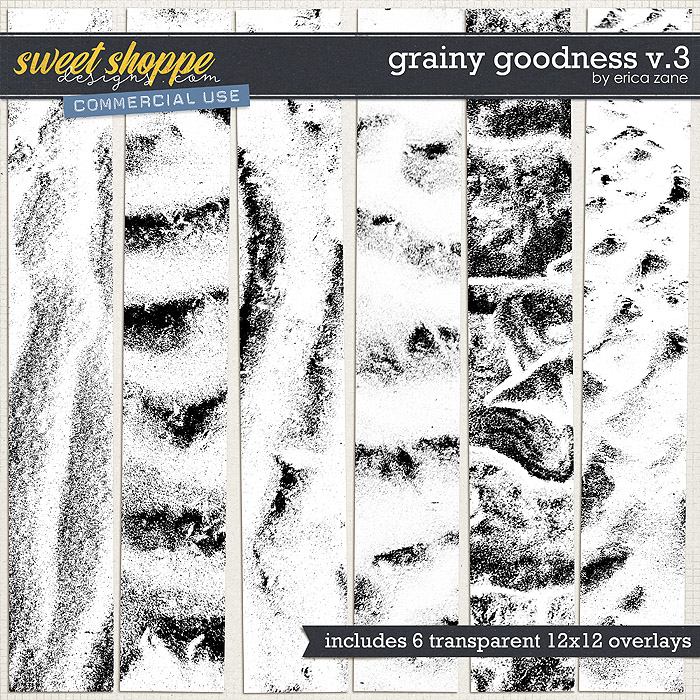 Grainy Goodness v.3 by Erica Zane