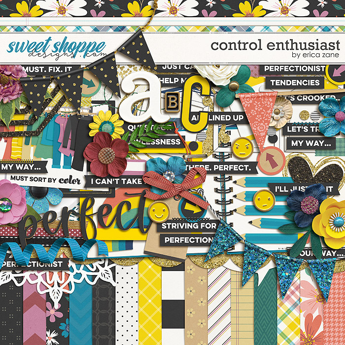 Control Enthusiast by Erica Zane