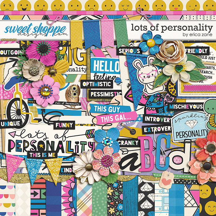 Lots of Personality by Erica Zane