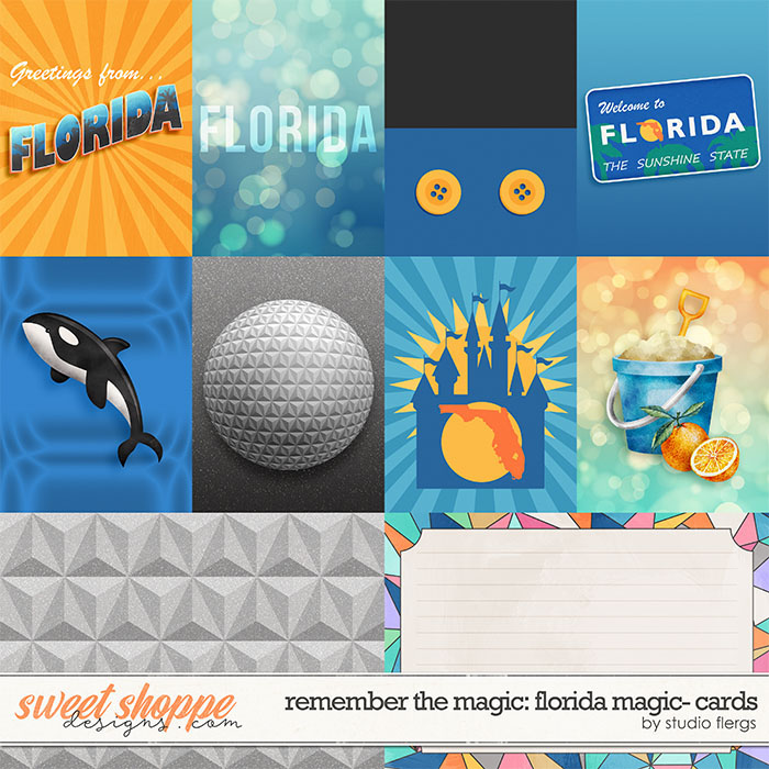 Remember the Magic: FLORIDA MAGIC- CARDS by Studio Flergs