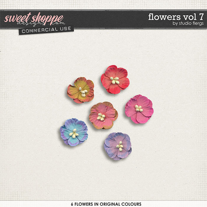 Flowers VOL 7 by Studio Flergs