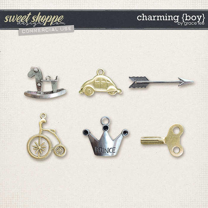 Charming {Boy} by Grace Lee
