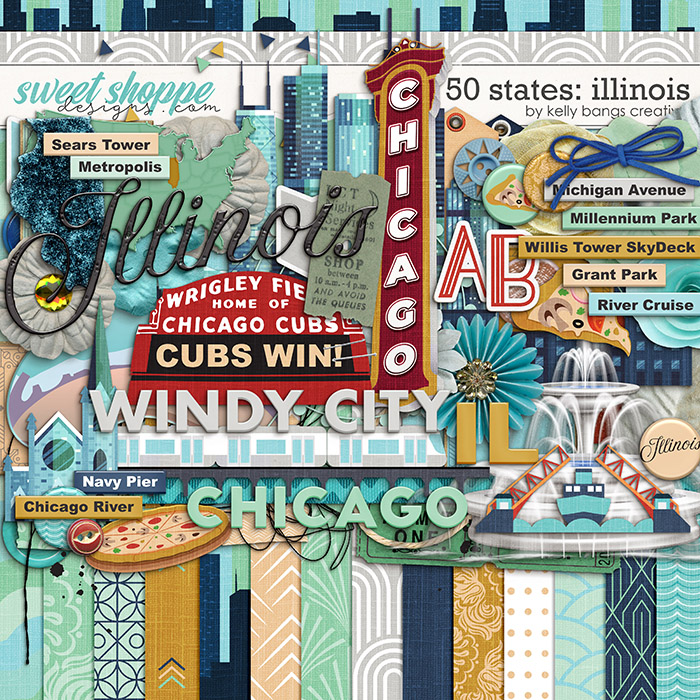 50 States: Illinois by Kelly Bangs Creative