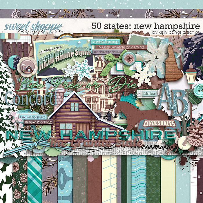50 States: New Hampshire by Kelly Bangs Creative