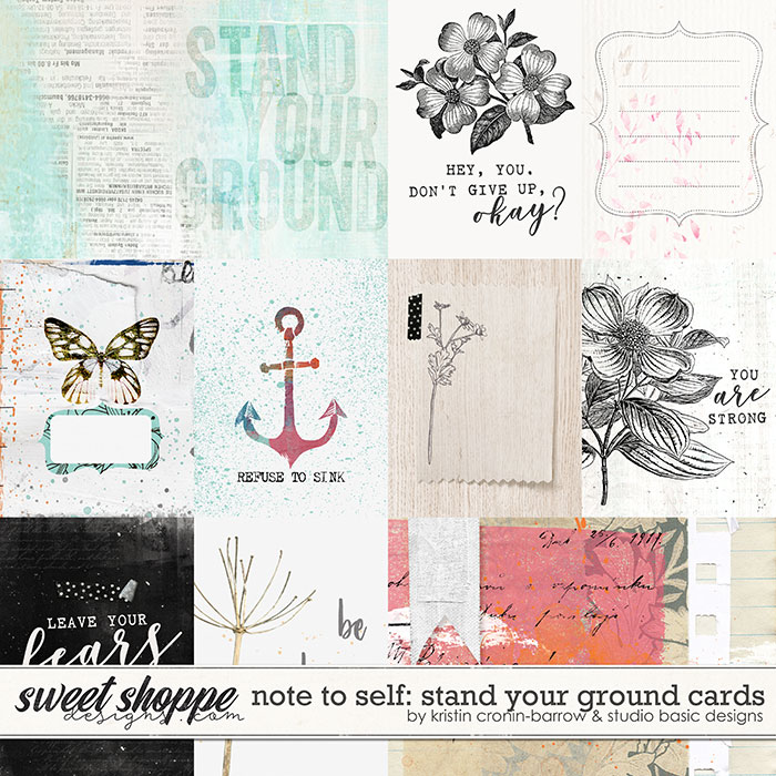 Note To Self: Stand Your Ground Cards by Kristin Cronin-Barrow & Studio Basic