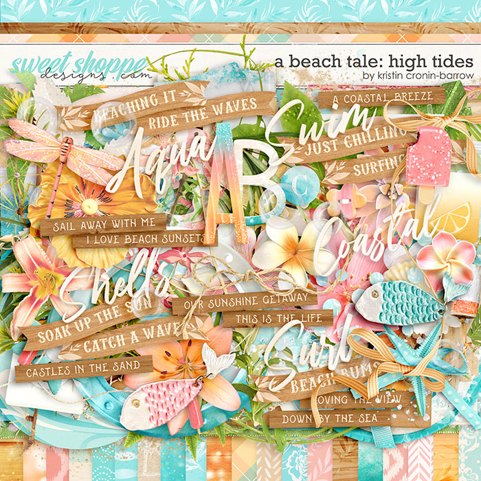 A Beach Tale: High Tides by Kristin Cronin-Barrow