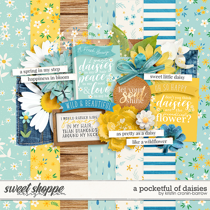 A Pocket Full of Daisies by Kristin Cronin-Barrow A Pocket Full of Daisies by Kristin Cronin-Barrow