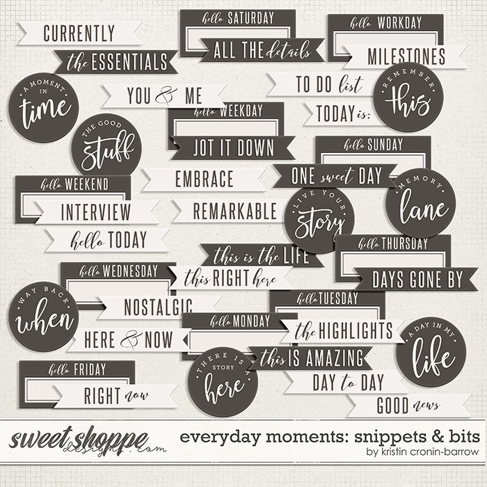 Everyday Moments: Snippets & Bits by Kristin Cronin-Barrow Everyday Moments: Snippets & Bits by Kristin Cronin-Barrow