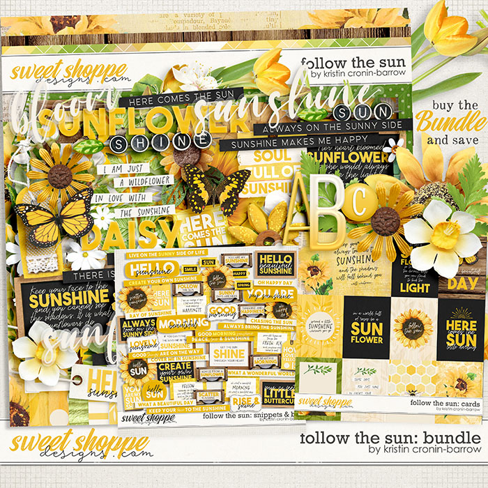 Follow the Sun: Bundle by Kristin Cronin-Barrow