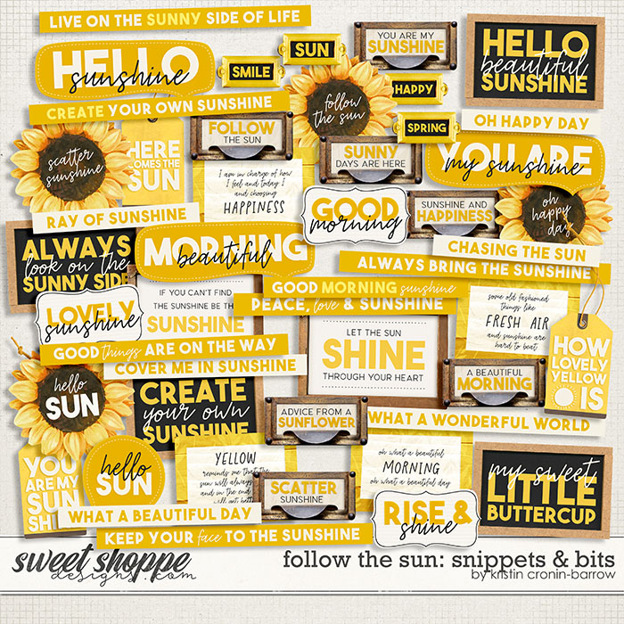Follow the Sun: Snippets and Bits by Kristin Cronin-Barrow Follow the Sun: Snippets and Bits by Kristin Cronin-Barrow