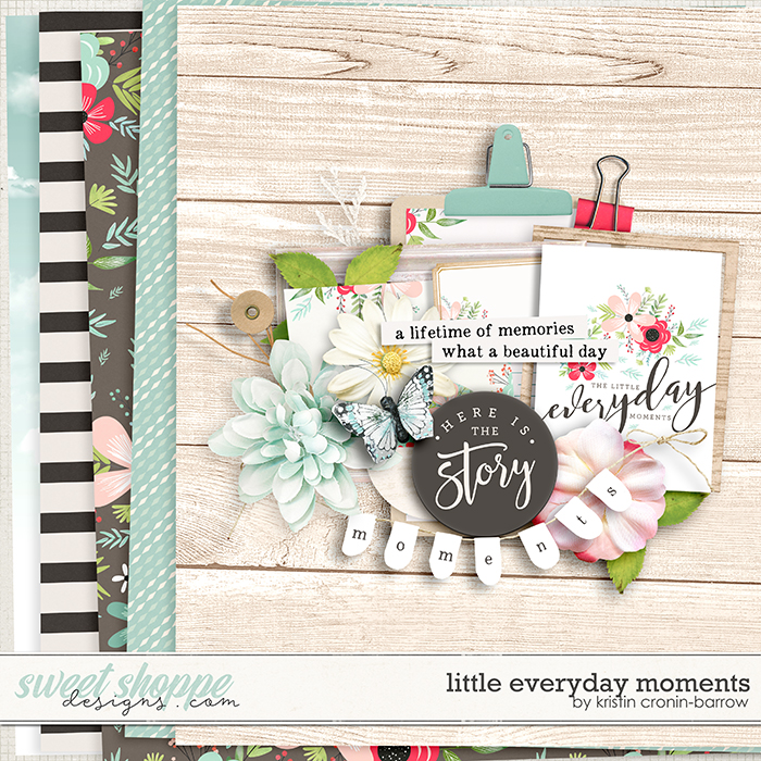 Little Everyday Moments by Kristin Cronin-Barrow Little Everyday Moments by Kristin Cronin-Barrow