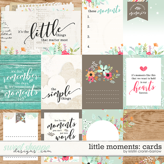 Little Moments: Cards by Kristin Cronin-Barrow