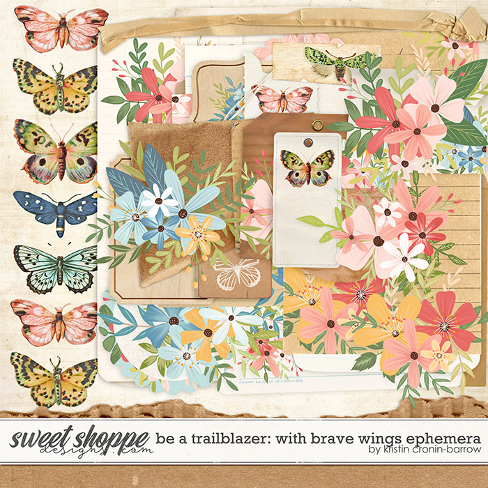 Be a Trailblazer: With Brave Wings Ephemera by Kristin Cronin-Barrow Be a Trailblazer: With Brave Wings Ephemera by Kristin Cronin-Barrow
