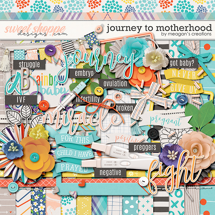 Journey to Motherhood by Meagan's Creations