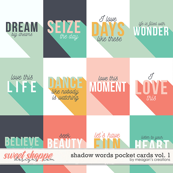 Shadow Words Pocket Cards Vol. 1 by Meagan's Creations