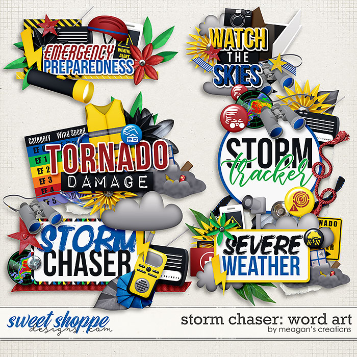 Storm Chaser: Word Art by Meagan's Creations Storm Chaser: Word Art by Meagan's Creations