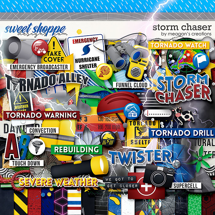 Storm Chaser by Meagan's Creations