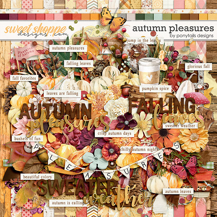 Autumn Pleasures by Ponytails