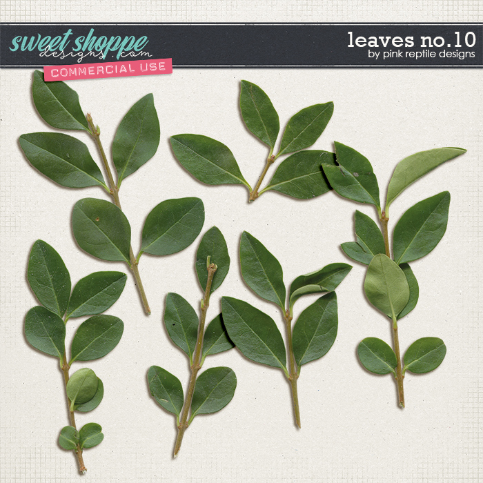 CU | Leaves No.10 by Pink Reptile Designs