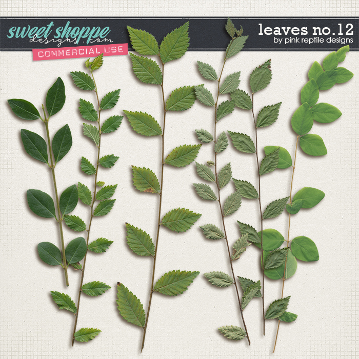 CU | Leaves No.12 by Pink Reptile Designs CU | Leaves No.12 by Pink Reptile Designs