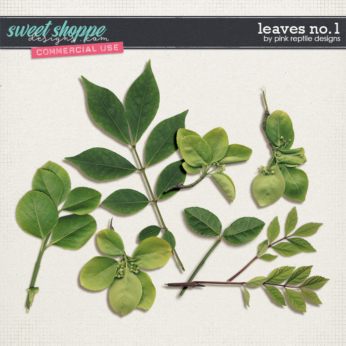 CU | Leaves No.1 by Pink Reptile Designs