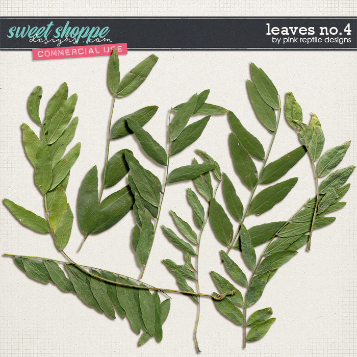 CU | Leaves No.4 by Pink Reptile Designs